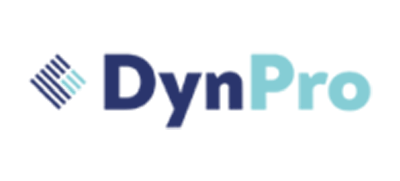 Raice Tech Soft Pvt. Ltd. is DynPro's top staffing partner